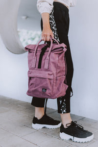 Thumbnail for Kolibri Himbeer